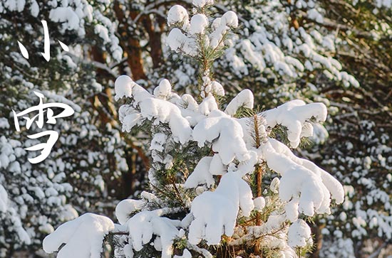 2023年小雪节气是什么时候