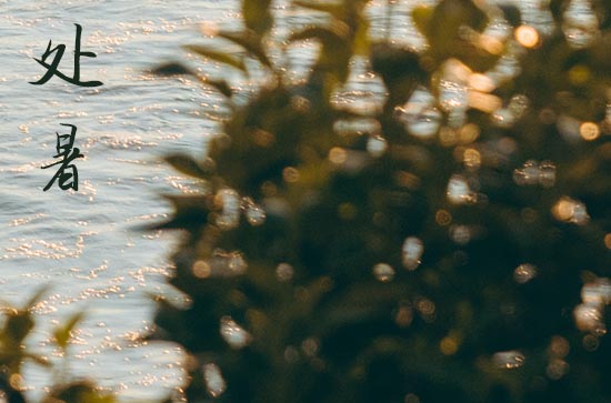 2024年处暑是具体哪一天 2024年处暑领结婚证可以吗 2024年处暑是具体哪一天 2024年处暑领结婚证可以吗