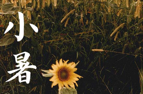 2024年小暑节气吃什么食物