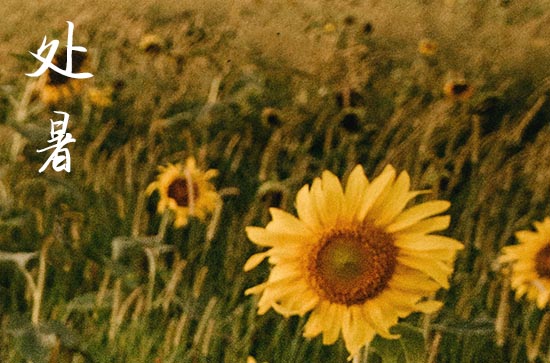 2024处暑是农历哪一天 2024年处暑可以修建坟墓吗