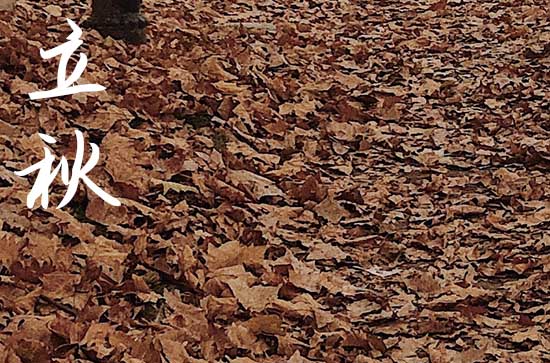 立秋发给顾客的文案 立秋发给顾客的文案