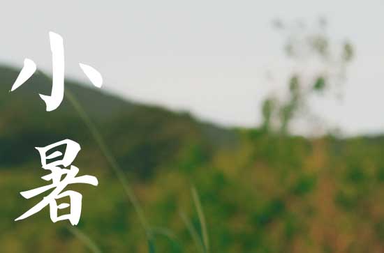 小暑谚语品味 关于小暑民间谚语