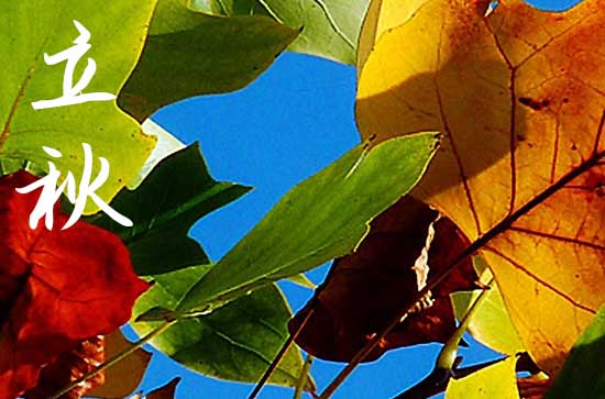 立秋吃什么传统食物