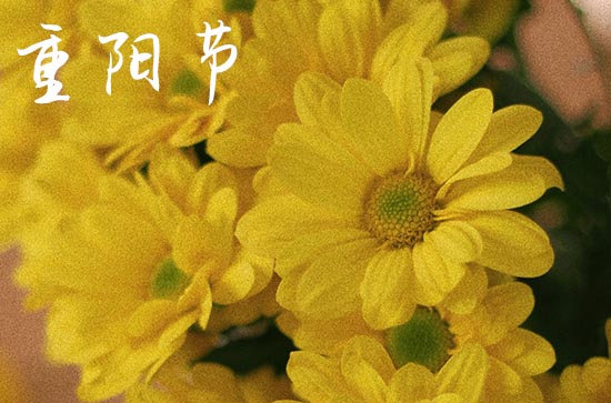 2023重阳节的时间 2023重阳节是哪一天