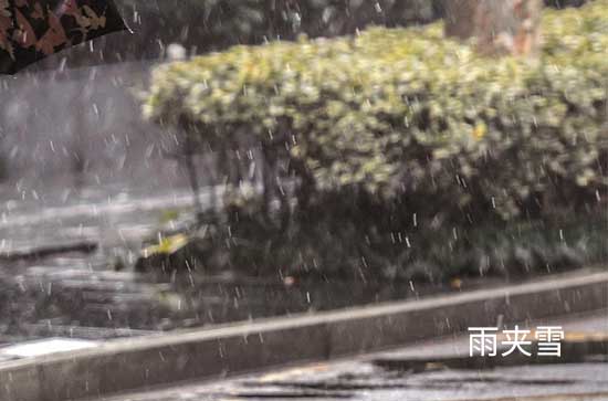 10月23日七台河会下雨 今日雨夹雪转晴温度7℃~-4℃