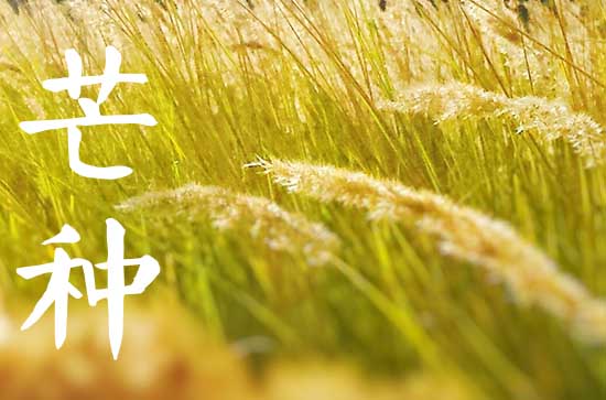 今天什么时候芒种阴历2024年
