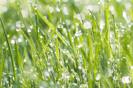 2024年谷雨是多少号 2024年4月19日谷雨钓鱼适合吗