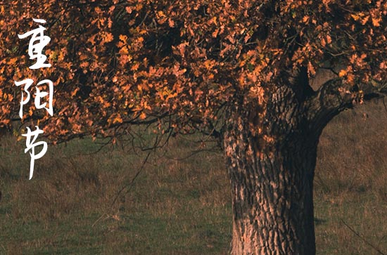 2023年几月几号是重阳节 2023年几月几号是重阳节