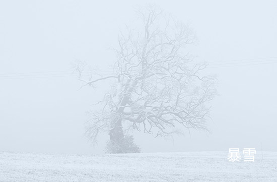 山东2023年12月19日有暴雪大部地区最高温0℃左右 济宁未来三天天气预报