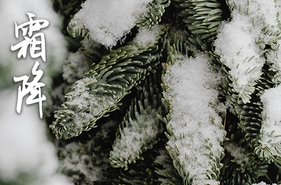 霜降养生看这理 霜降养生应该注意什么