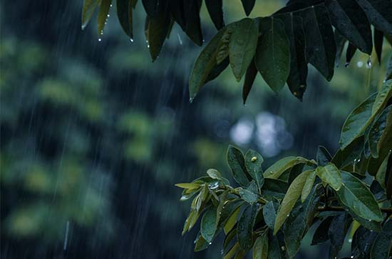 昭通10月8日天气预报:高温15℃~低温10℃，雨，会下雨