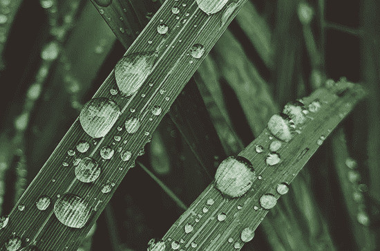 2024年谷雨是什么时候时间 2024年4月19日谷雨当天补墙好吗