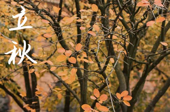 2024年立秋准确时间几点几分 有什么习俗