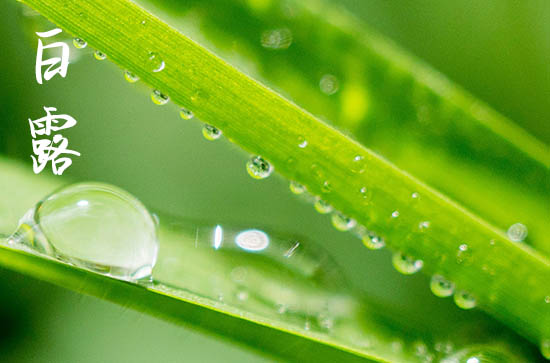 2024年白露几月几日 2024年白露弄出海打鱼好吗