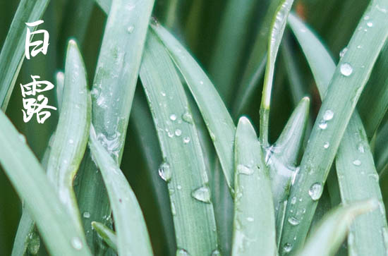 2024年白露是星期几 2024白露那天建造寺庙好吗