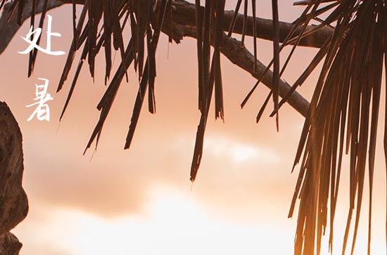 2024处暑是哪一天 2024年处暑弄登记结婚证可以吗 2024处暑是哪一天 2024年处暑弄登记结婚证可以吗