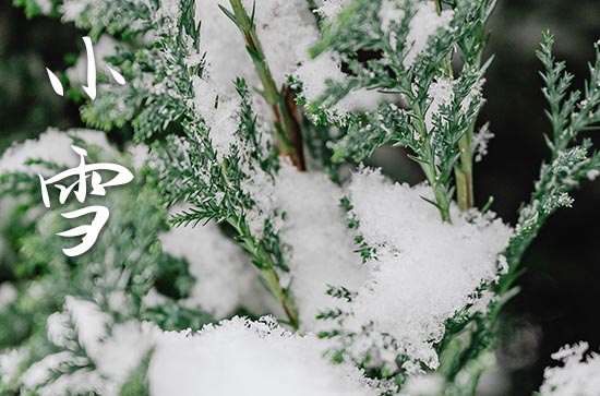 小雪节气是哪天2023