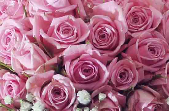 520送什么礼物给女朋友最有意义