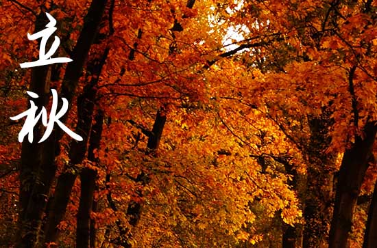 2024年立秋是什么时候时间 2024年立秋分居合适吗 2024年立秋是什么时候时间 2024年立秋分居合适吗