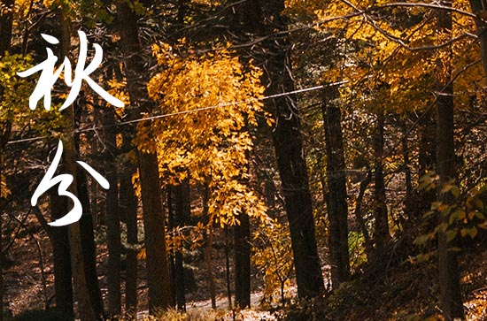 2024年今年秋分是几月几号 2024年秋分弄出去玩适合吗