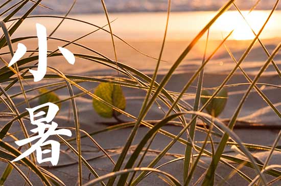 2024小暑是哪天 2024小暑这天宜做什么