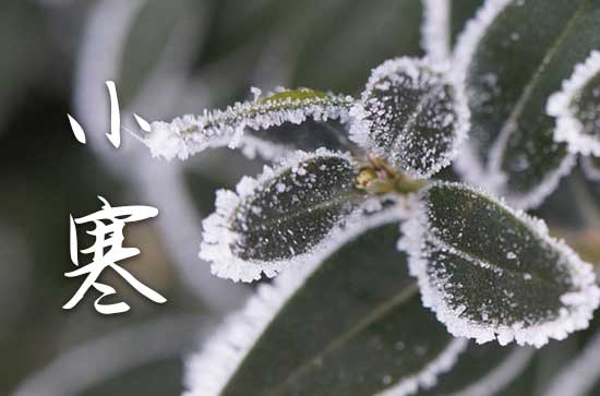 祝福语大全：小寒暖心祝福短句2023（85句）