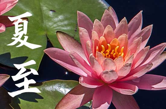 夏至三庚数头伏的含义