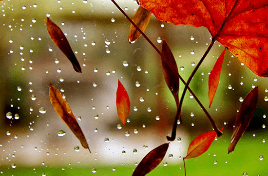 2023年湖南梅雨是几月份 湖南梅雨季是几月到几月结束