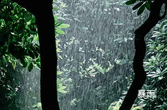 舟山7月25日天气预报:高温29℃~低温27℃，大到暴雨转雨，会下雨