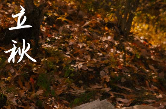 2024年农历几号立秋 2024立秋开仓好吗