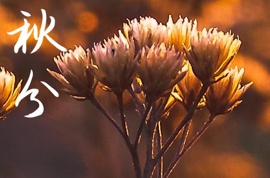 2024年秋分农历时间 2024秋分这天宜做什么