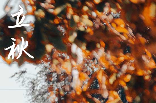 立秋是几月几号2024年 2024年立秋出货行不行 立秋是几月几号2024年 2024年立秋出货行不行