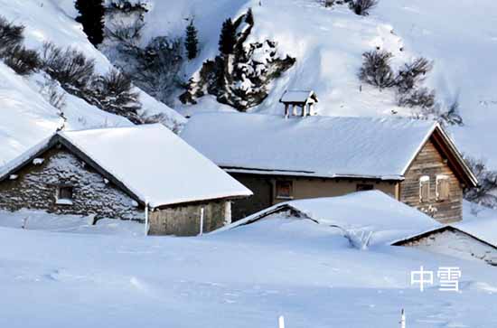 山东12月13日起三天降雪大风降温齐袭 聊城未来三天天气预报