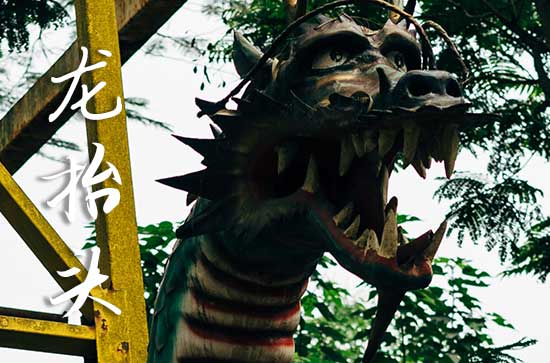 2025年龙抬头是几号 2025年3月1日龙抬头这天入学好吗