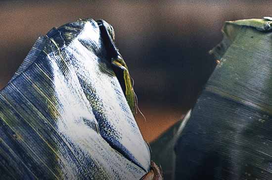 2024端午节阳历准确是几月几号 2024年6月10日端午节当天入学好吗