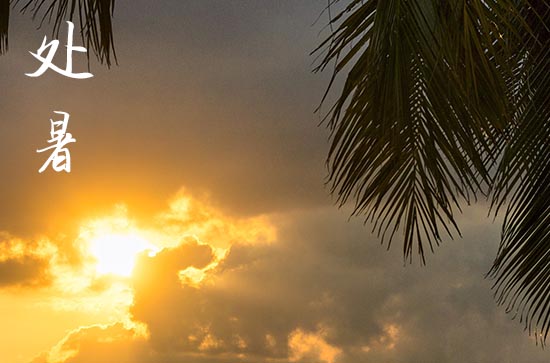 2024年处暑时间是什么时候 2024年8月22日处暑是交易吉日吗