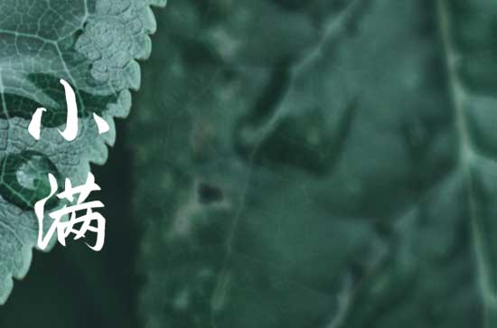 今天小满是几点几分，2023年小满几点几分