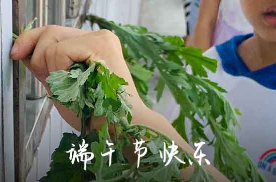 2023年50句端午节祝愿语