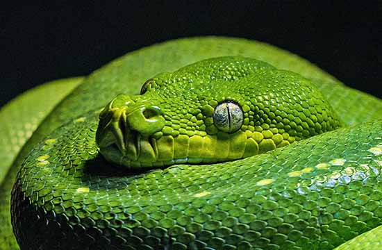 2025木蛇年艾姓女孩名字50个精选