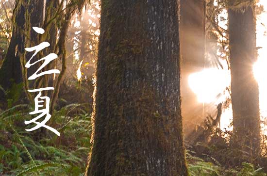 2024年立夏是多少号 2024年立夏祭祖吉祥吗