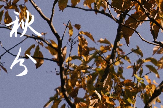 2024年今年秋分是几月几号 2024年9月22日秋分黄历