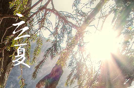 立夏的含义是什么意思,立夏节气的含义是什么