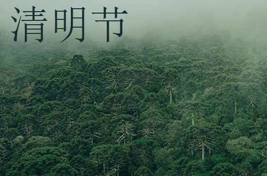 2024清明节的温馨问候祝福语