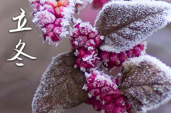 2024年立冬几月几日 2024立冬当天可以旅游吗 2024年立冬几月几日 2024立冬当天可以旅游吗