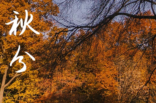 2024年秋分是几月几日 2024年秋分弄举办成人仪式适合吗