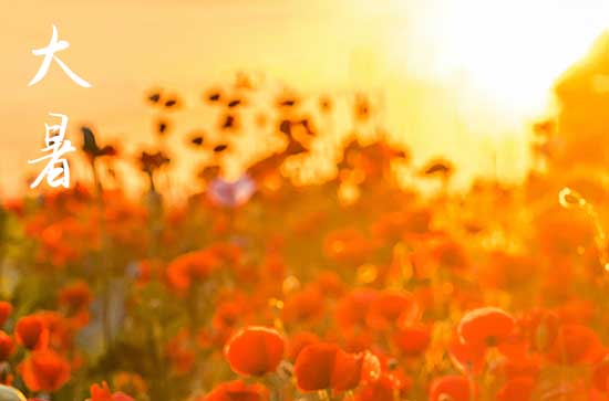 今日大暑几点几分开始,2025年大暑几点几分