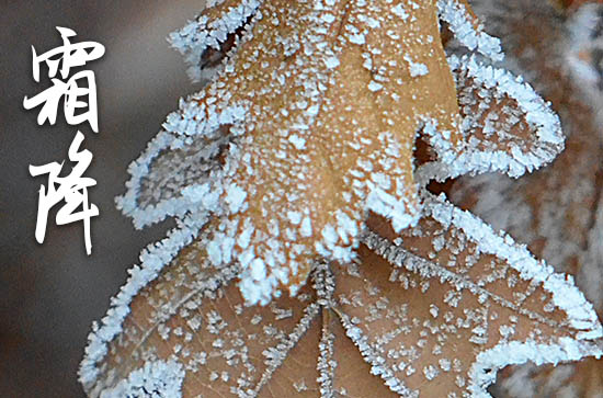 霜降节气民俗 霜降有怎样的民趣民乐