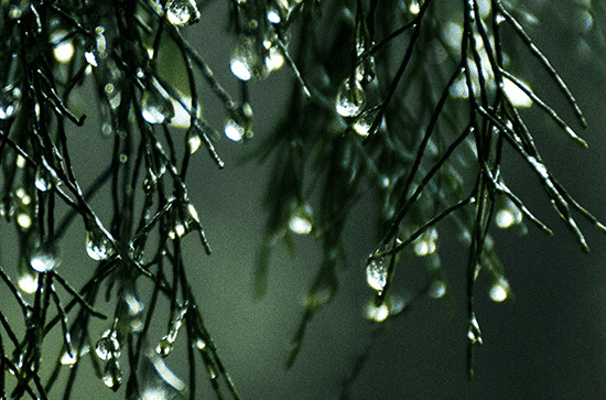 2024年安徽最热的天气在几月份 安徽夏季高温天气会持续多久