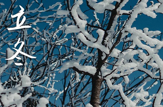 立冬是2024的几月几日 2024年立冬能理发吗