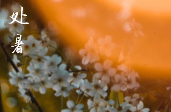 2024年今年处暑是几月几号 2024年处暑适合出海吗